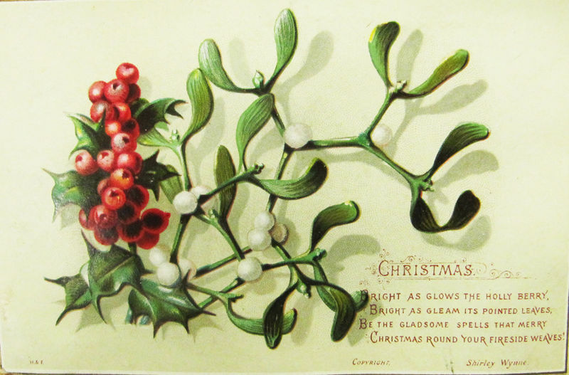 800px-Holly Christmas card from NLI
